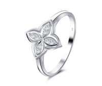 Silver Ring NSR-2683